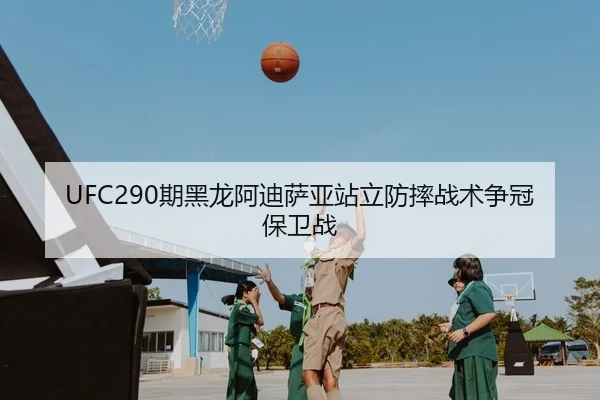 qi-hei-long-a-di-sa-ya-zhan-li-fang-shuai-zhan-shu-zheng-guan-bao-wei-zhan-2-245.jpg