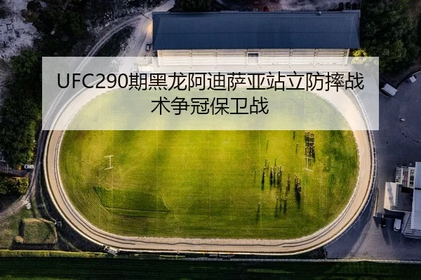 UFC290期黑龙阿迪萨亚站立防摔战术争冠保卫战